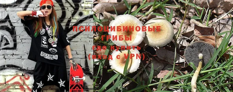 Псилоцибиновые грибы Magic Shrooms  Глазов 